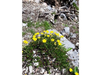 Apartment Appartement Steinberg - Outdoor photo 36