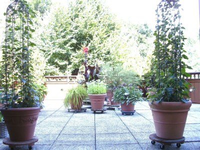 Apartment Wohnung 1 - 4-Personenwohnung - Outdoor photo 4