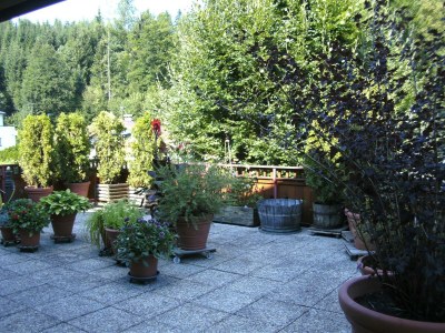 Apartment Wohnung 1 - 4-Personenwohnung - Outdoor photo 5