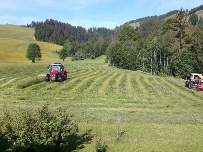 Apartment Ferienwohnung Buchensteinwand - Outdoor photo 9