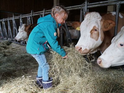 Apartment Ferienwohnung Buchensteinwand - Outdoor photo 11