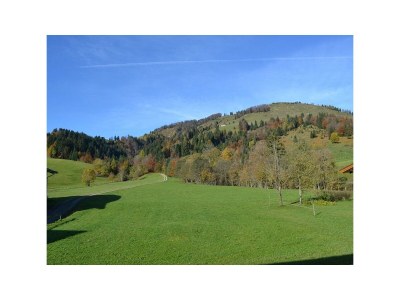 Apartment Ferienwohnung Buchensteinwand - Features photo 24