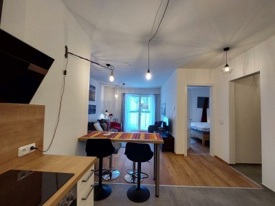 Apartment Appartement 1 - Features photo 9