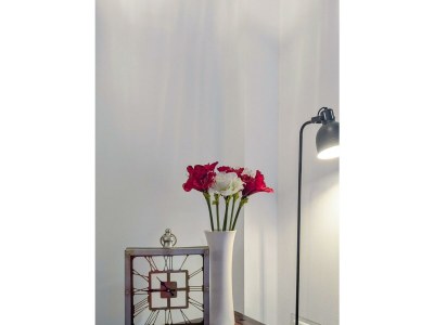 Apartment Appartement 1 - Features photo 17