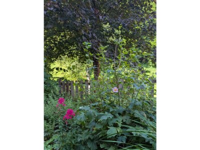 Apartment Appartement 1 - Features photo 22