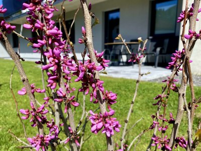 Apartment Apartment Bergfieber - Outdoor photo 16