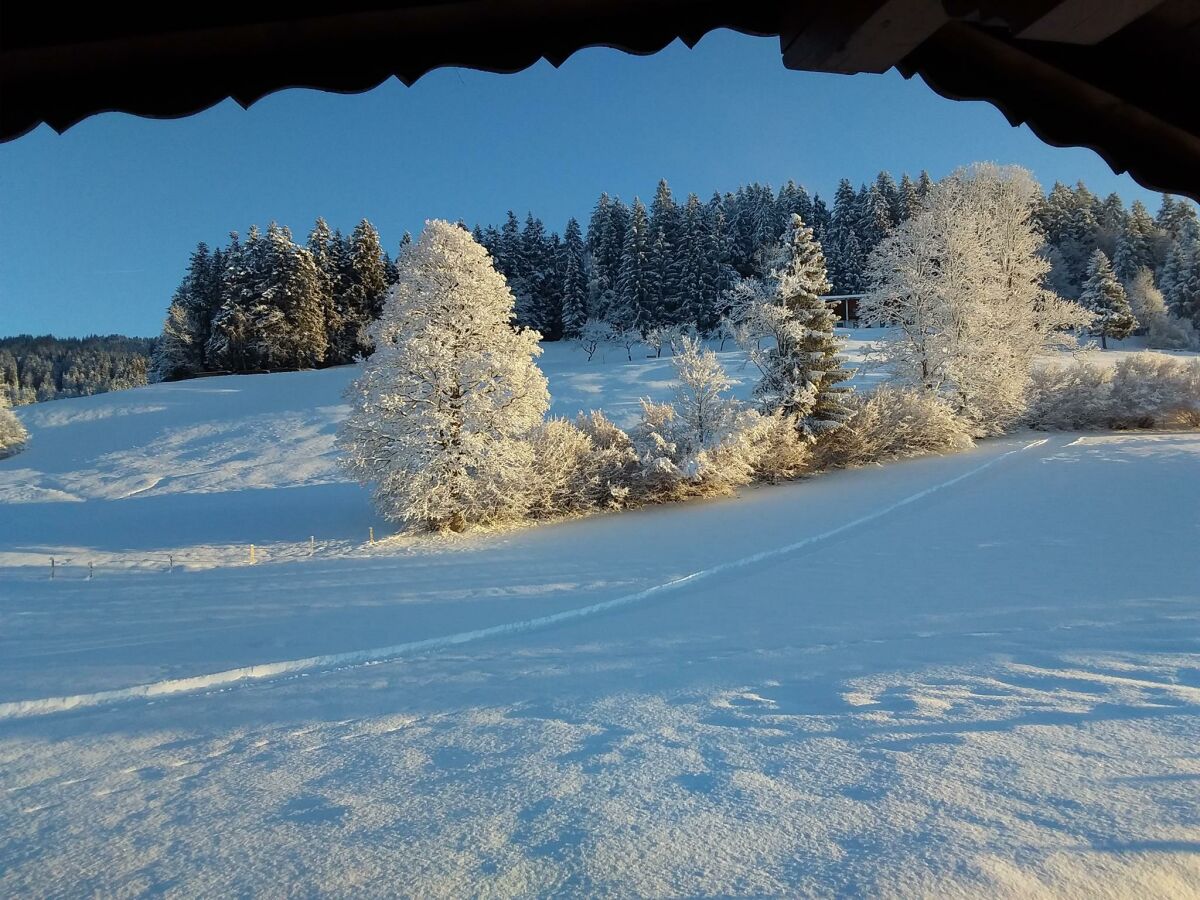 Apartment 2-4 Personenwohnung - Outdoor photo 2