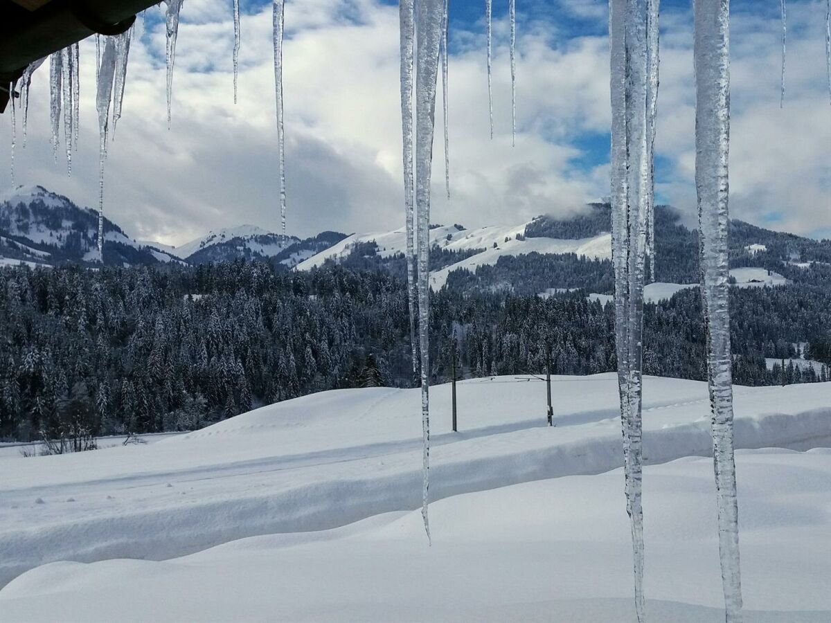 Apartment 2-4 Personenwohnung - Outdoor photo 3