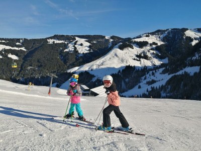 Apartment 2-4 Personenwohnung in Fieberbrunn - Apartment