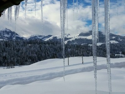 Apartment 2-4 Personenwohnung - Outdoor photo 3