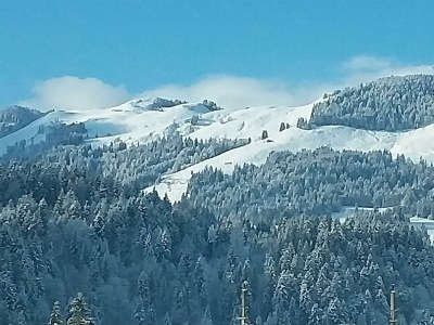 Apartment 2-4 Personenwohnung - Outdoor photo 7