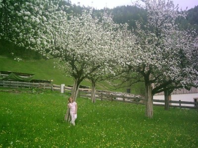 Apartment Ferienwohnung - Bauernhof - Outdoor photo 7