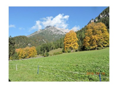 Apartment Ferienwohnung - Bauernhof - Outdoor photo 8