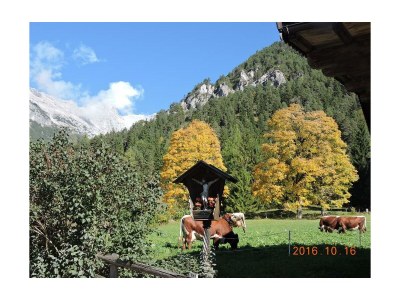 Apartment Ferienwohnung - Bauernhof - Outdoor photo 9