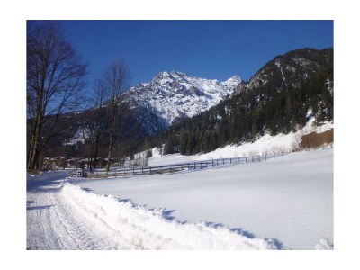 Apartment Ferienwohnung - Bauernhof - Outdoor photo 11