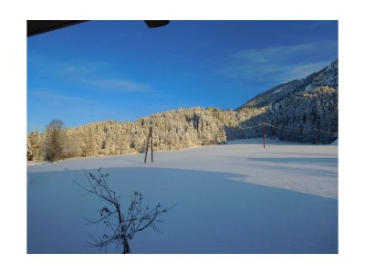 Apartment Ferienwohnung Obwallhof - Outdoor photo 10