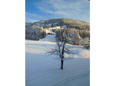 Apartment Ferienwohnung Obwallhof - Outdoor photo 11