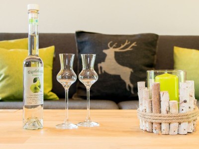 Apartment Ferienwohnung Obwallhof - Features photo 23