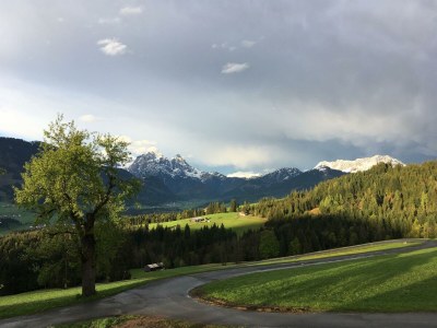 Apartment Ferienwohnung Bärfeld - Outdoor photo 6