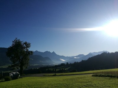 Apartment Ferienwohnung Bärfeld - Outdoor photo 7