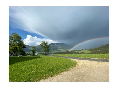 Apartment Ferienwohnung Bärfeld - Outdoor photo 8