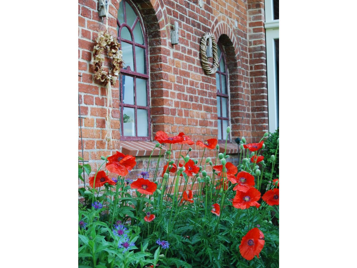 Holiday house Höner country house - Outdoor photo 3