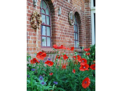 Holiday house Höner country house - Outdoor photo 3