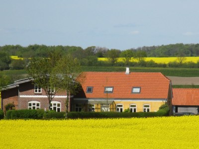 Holiday house Höner country house - Outdoor photo 12