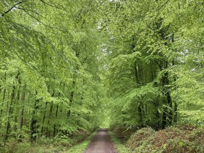 Holiday house Höner country house - Environment photo 35