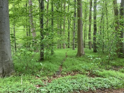 Holiday house Höner country house - Environment photo 36