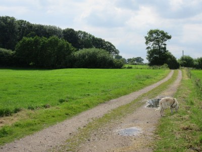 Holiday house Höner country house - Environment photo 38