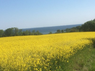 Holiday house Höner country house - Environment photo 40