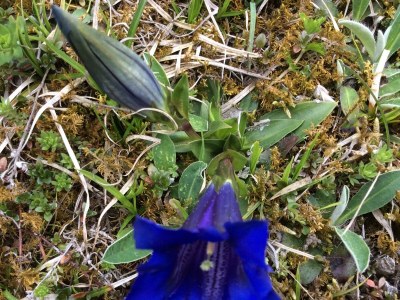 Apartment 5-Personenwohnung - A - Outdoor photo 18