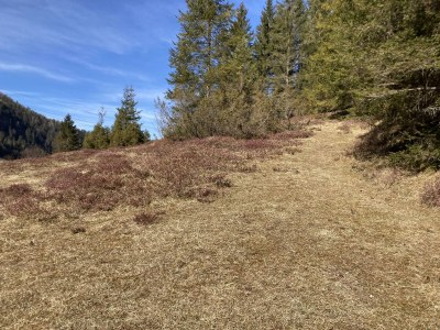 Apartment 5-Personenwohnung - A - Outdoor photo 21