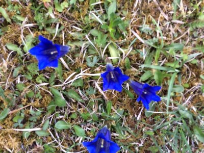 Apartment 5-Personenwohnung - A - Outdoor photo 34