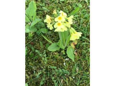 Apartment 6-Personenwohnung - B - Outdoor photo 11