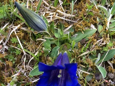 Apartment 6-Personenwohnung - B - Outdoor photo 18