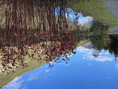 Apartment 6-Personenwohnung - B - Outdoor photo 55