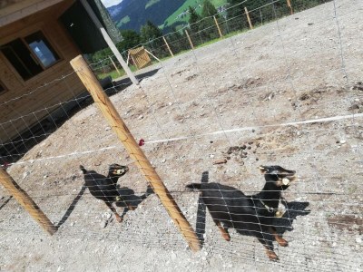 Apartment Ferienwohnung Wildseeloder Blick - Outdoor photo 13