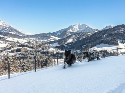 Apartment Ferienwohnung Wildseeloder Blick - Outdoor photo 16
