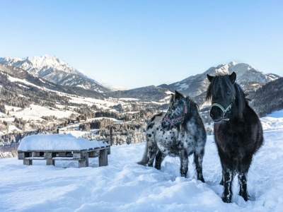 Apartment Ferienwohnung Wildseeloder Blick - Outdoor photo 17