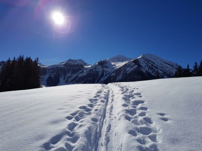 Apartment Ferienwohnung Wildseeloder Blick - Outdoor photo 21