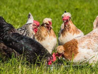 Apartment 5-Personenwohnung mit 60 m² - Outdoor photo 23