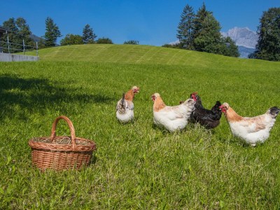 Apartment 5-Personenwohnung mit 60 m² - Outdoor photo 24