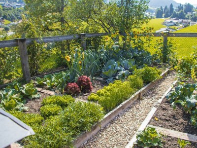 Apartment 5-Personenwohnung mit 60 m² - Outdoor photo 25