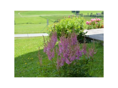 Apartment 4 - Personenwohnung - Dorf 4 - Outdoor photo 6