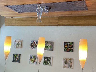 Apartment 8- Personenwohnung "Elfi" - Features photo 5