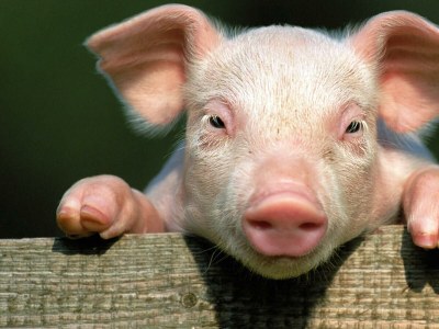 Apartment 5-Personenwohnung - Outdoor photo 11