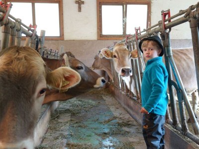 Apartment 5-Personenwohnung - Outdoor photo 28