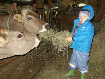 Apartment 5-Personenwohnung - Outdoor photo 32